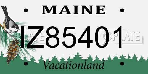 IZ85401 Maine License Plate