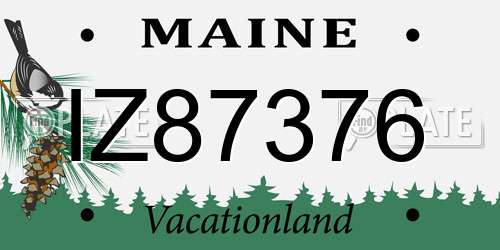 IZ87376 Maine License Plate