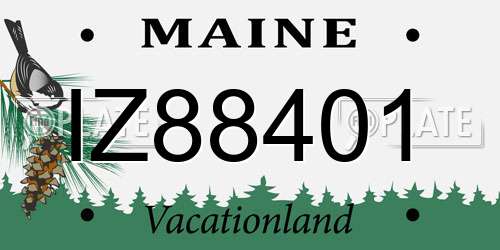 IZ88401 Maine License Plate