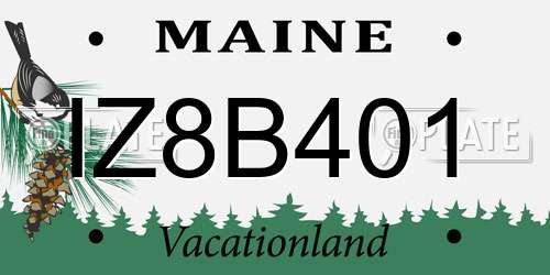 IZ8B401 Maine License Plate