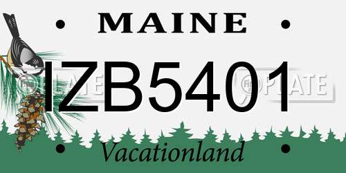 IZB5401 Maine License Plate