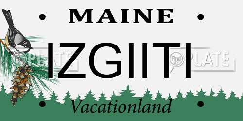 IZGIITI Maine License Plate