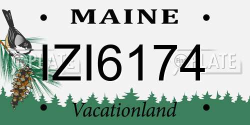 IZI6174 Maine License Plate