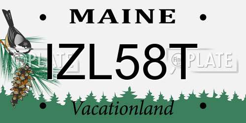 IZL58T Maine License Plate