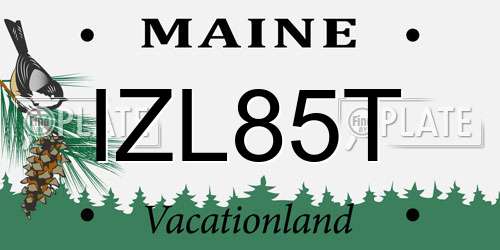 IZL85T Maine License Plate