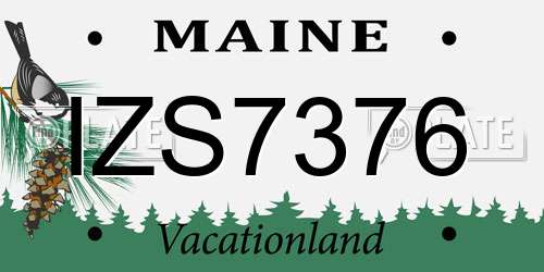 IZS7376 Maine License Plate