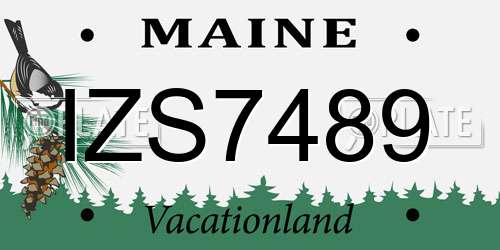 IZS7489 Maine License Plate