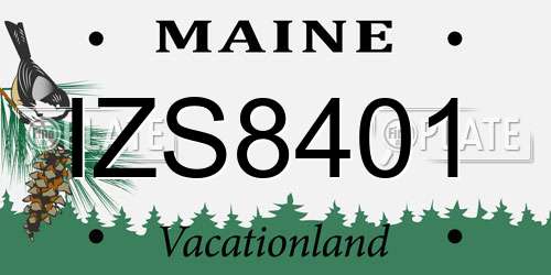 IZS8401 Maine License Plate