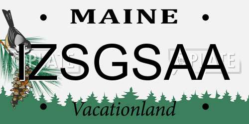IZSGSAA Maine License Plate