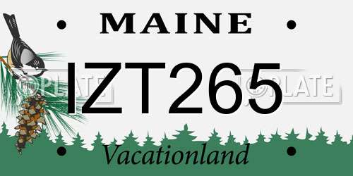 IZT265 Maine License Plate