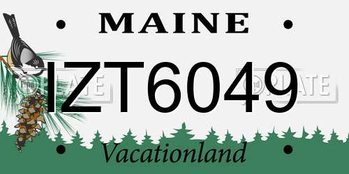 IZT6049 Maine License Plate
