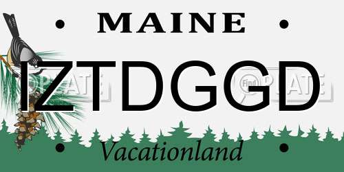 IZTDGGD Maine License Plate