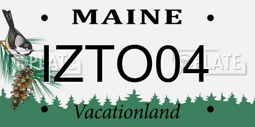 IZTO04 Maine License Plate