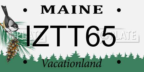 IZTT65 Maine License Plate