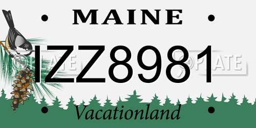 IZZ8981 Maine License Plate