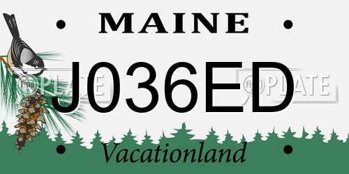 J036ED Maine License Plate