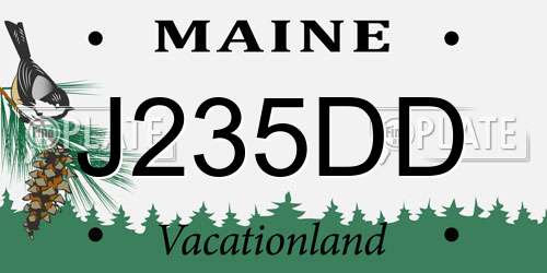 J235DD Maine License Plate