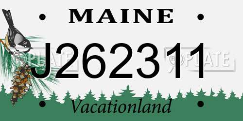 J262311 Maine License Plate