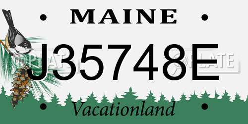 J35748E Maine License Plate