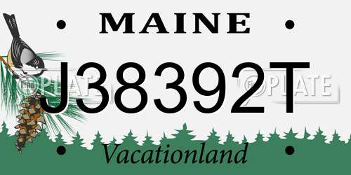 J38392T Maine License Plate