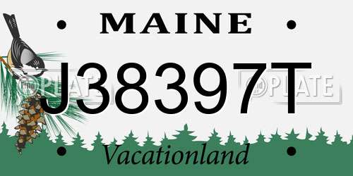 J38397T Maine License Plate