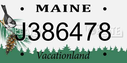 J386478 Maine License Plate