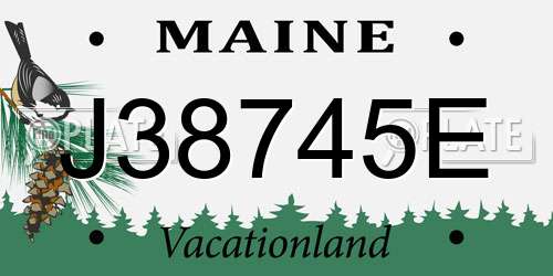 J38745E Maine License Plate