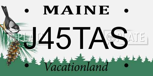 J45TAS Maine License Plate