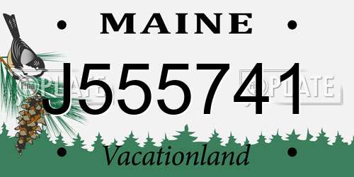 J555741 Maine License Plate