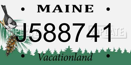 J588741 Maine License Plate