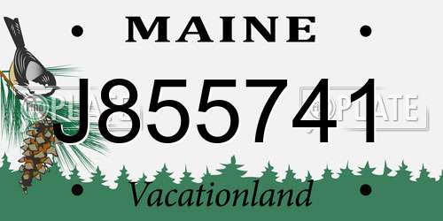 J855741 Maine License Plate