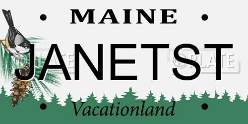 JANETST Maine License Plate