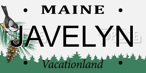 JAVELYN Maine License Plate