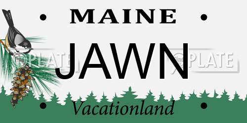 JAWN Maine License Plate