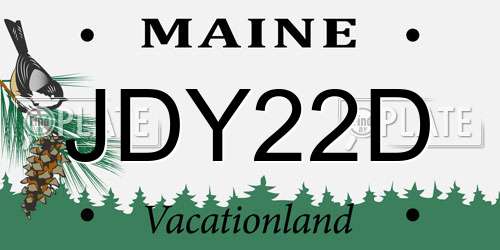 JDY22D Maine License Plate