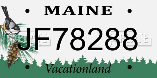 JF78288 Maine License Plate
