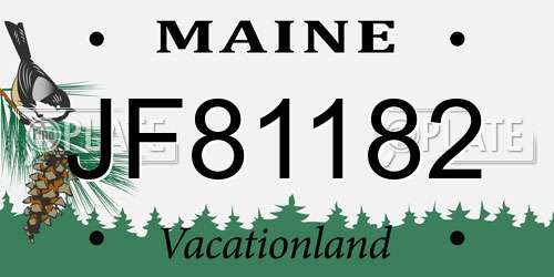 JF81182 Maine License Plate
