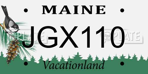 JGX110 Maine License Plate