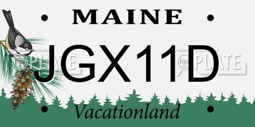 JGX11D Maine License Plate