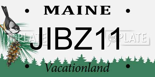 JIBZ11 Maine License Plate