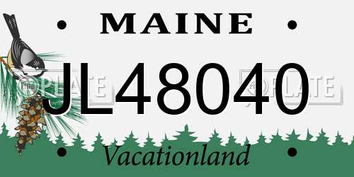 JL48040 Maine License Plate