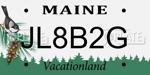 JL8B2G Maine License Plate