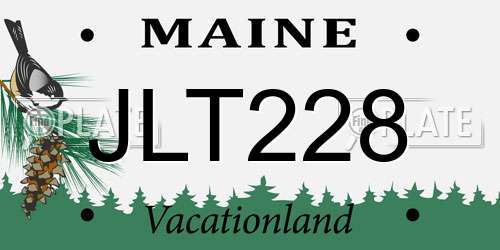 JLT228 Maine License Plate