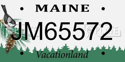 JM65572 Maine License Plate