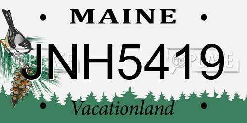 JNH5419 Maine License Plate