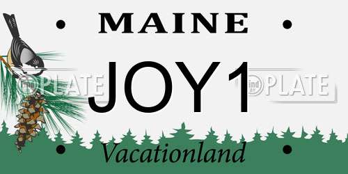 JOY1 Maine License Plate
