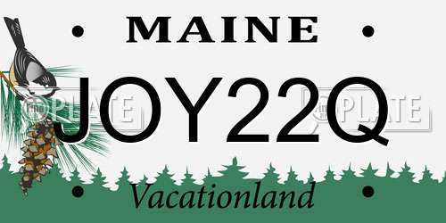 JOY22Q Maine License Plate