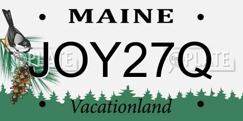 JOY27Q Maine License Plate