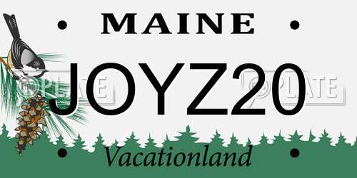 JOYZ20 Maine License Plate