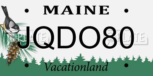 JQDO80 Maine License Plate
